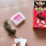 Thuốc diệt chuột DETHMOR JAPAN 120g (rẻ nhất)