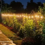 Đèn Led Dây năng Lượng Mặt Trời 20 Bóng Dài 15m- Chống nước IP65 Kèm tấm NLMT - Trang Trí Siêu Đẹp